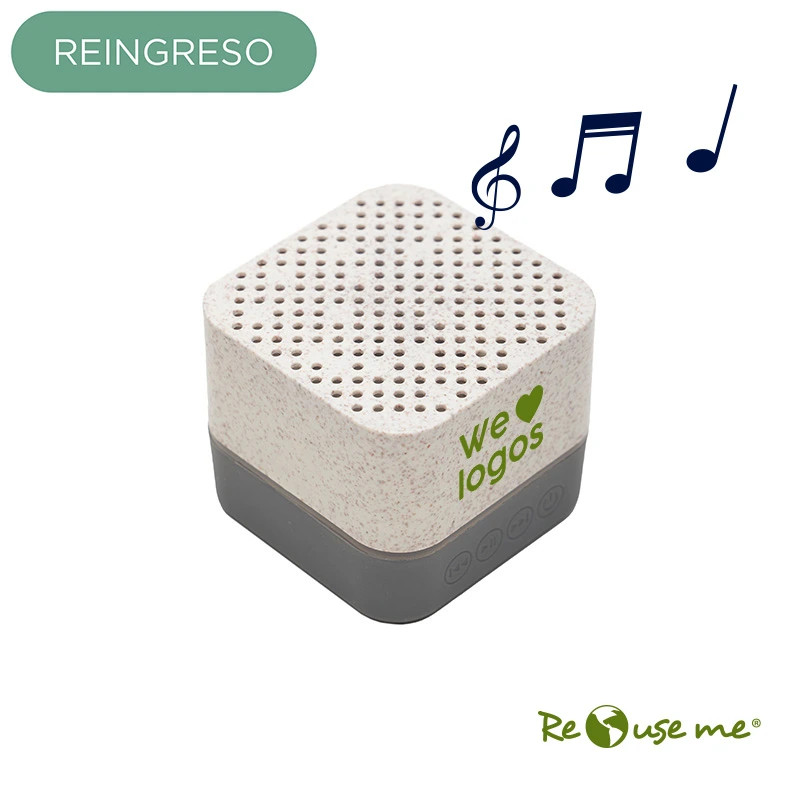 Parlante Earth||Tecnología y audio Parlante Earth||Tecnología y audio