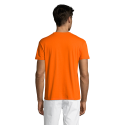 Polera Regent||Apparel - Poleras Polera Regent||Apparel - Poleras