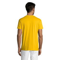 Polera Regent||Apparel - Poleras Polera Regent||Apparel - Poleras