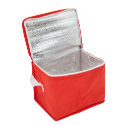 Cooler Mini||Coolers y loncheras