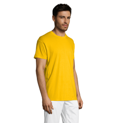 Polera Regent||Apparel - Poleras Polera Regent||Apparel - Poleras