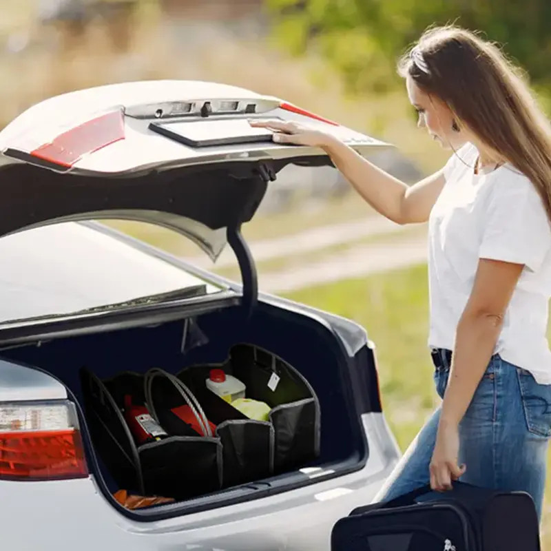Car Organizer||Bolsos y Mochilas Car Organizer||Bolsos y Mochilas