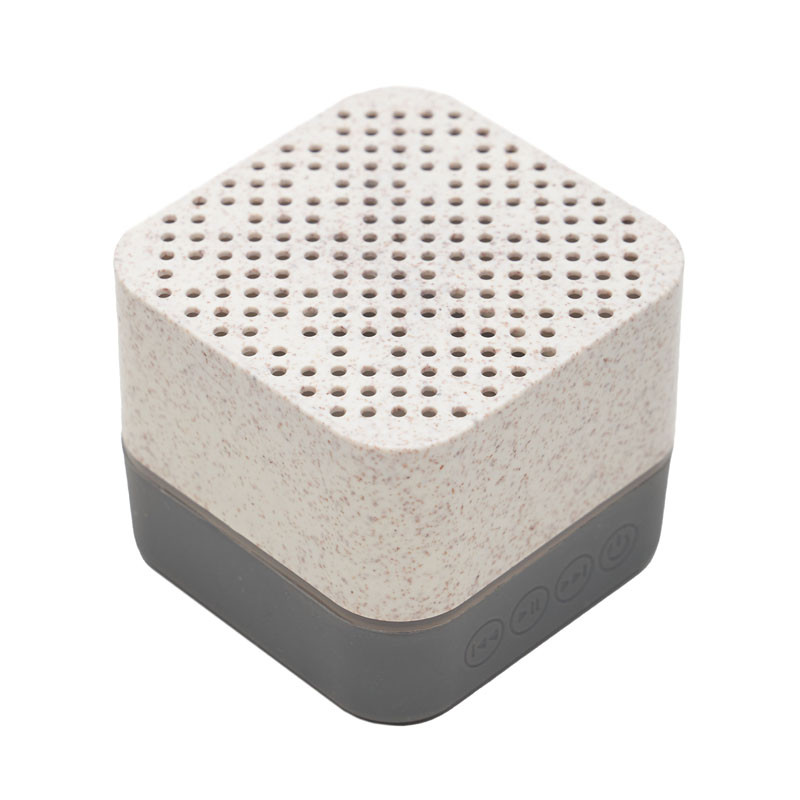 Parlante Earth||Tecnología y audio Parlante Earth||Tecnología y audio