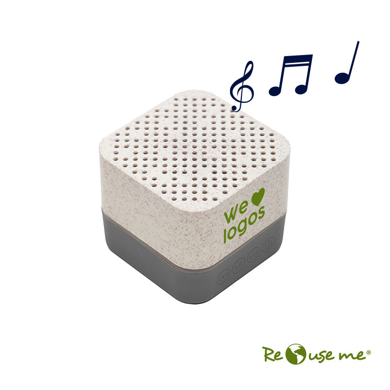 Parlante Earth||Tecnología y audio Parlante Earth||Tecnología y audio
